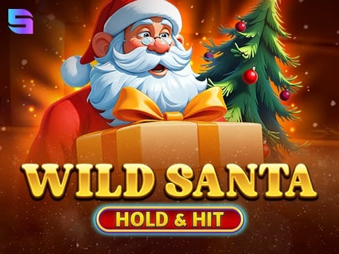 Wild Santa - Hold and Hit